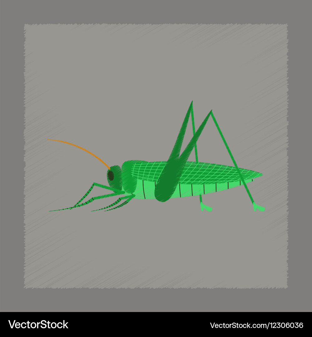 Flat shading style grasshopper Vector Image