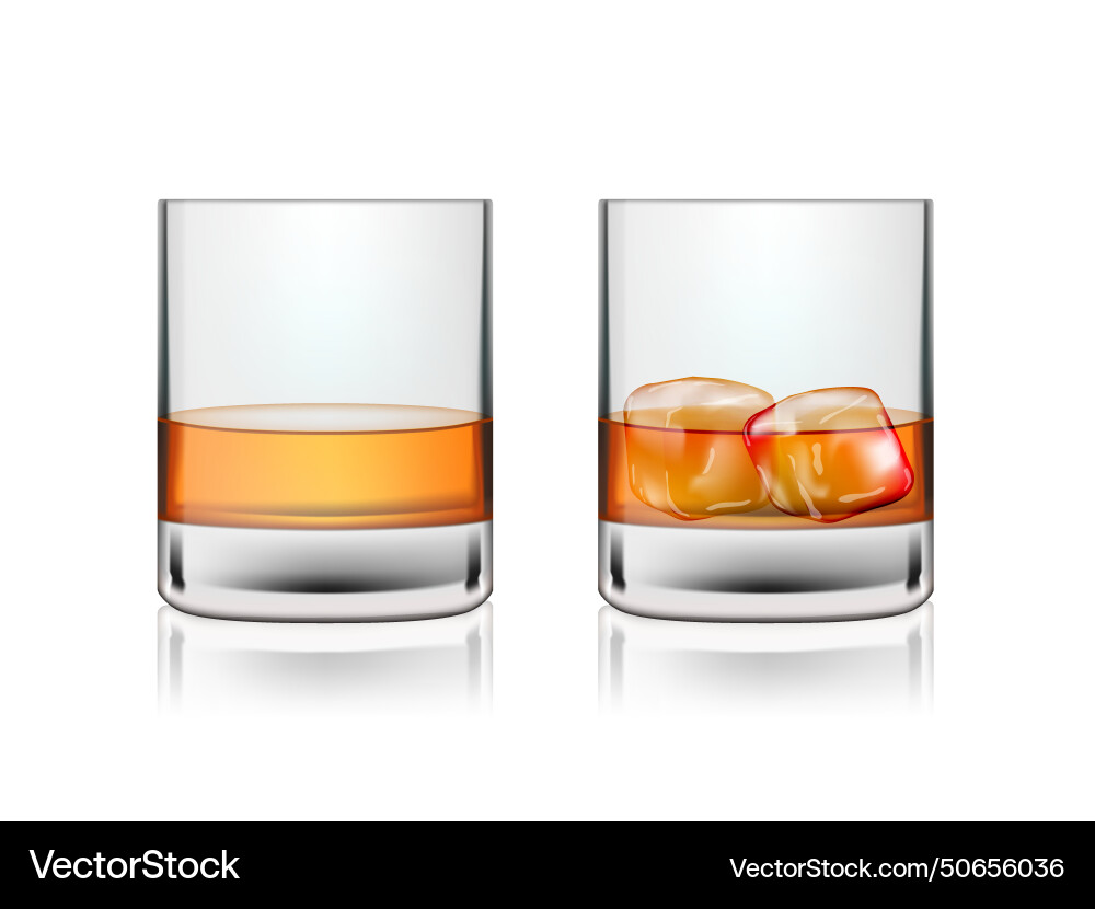 Scotch Whiskey with and without Ice Vector Image