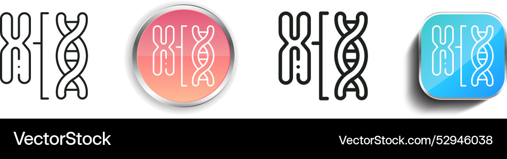 Chromosome icon thin linear regular and button Vector Image