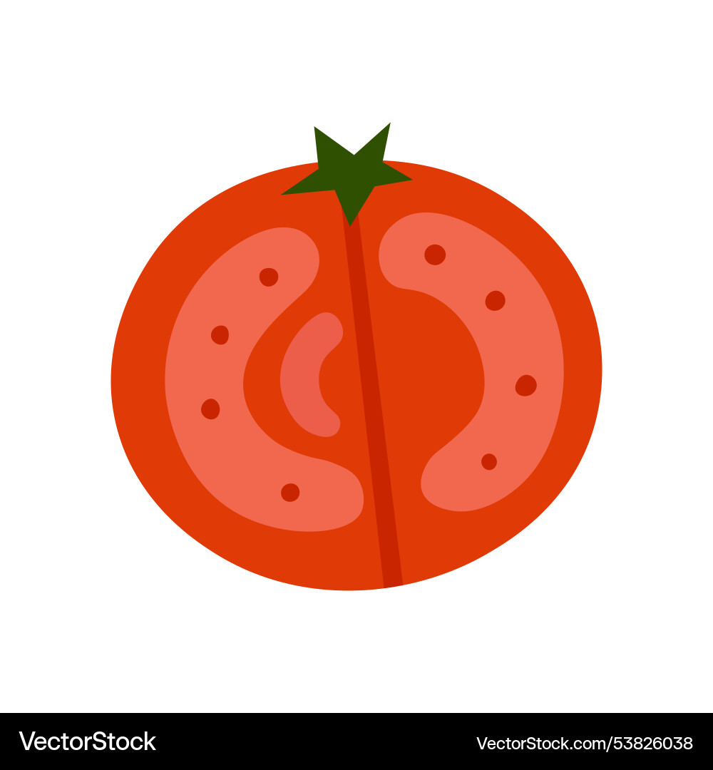 Flat of red tomato slice with visible Flat of red tomato slice with visible Vector Image
