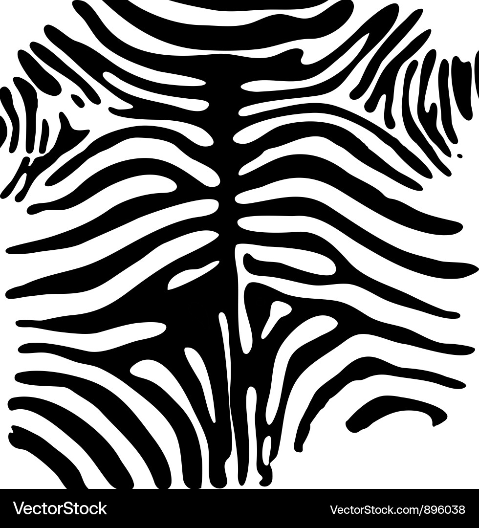 Zebra Pattern Background vector image