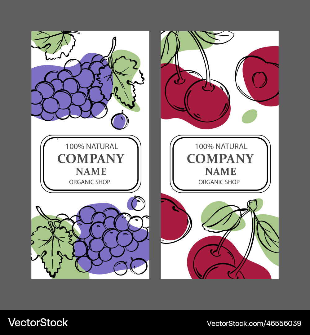 Cherry and grape label templates vintage sketch vector image