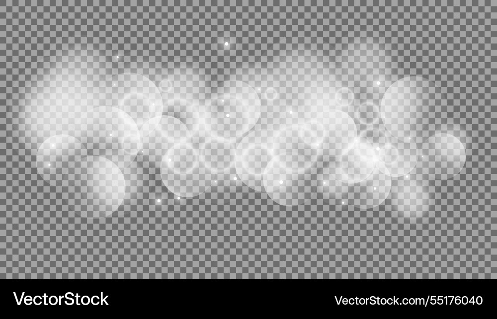 Bokeh circles on transparent background Bokeh circles on transparent background vector image
