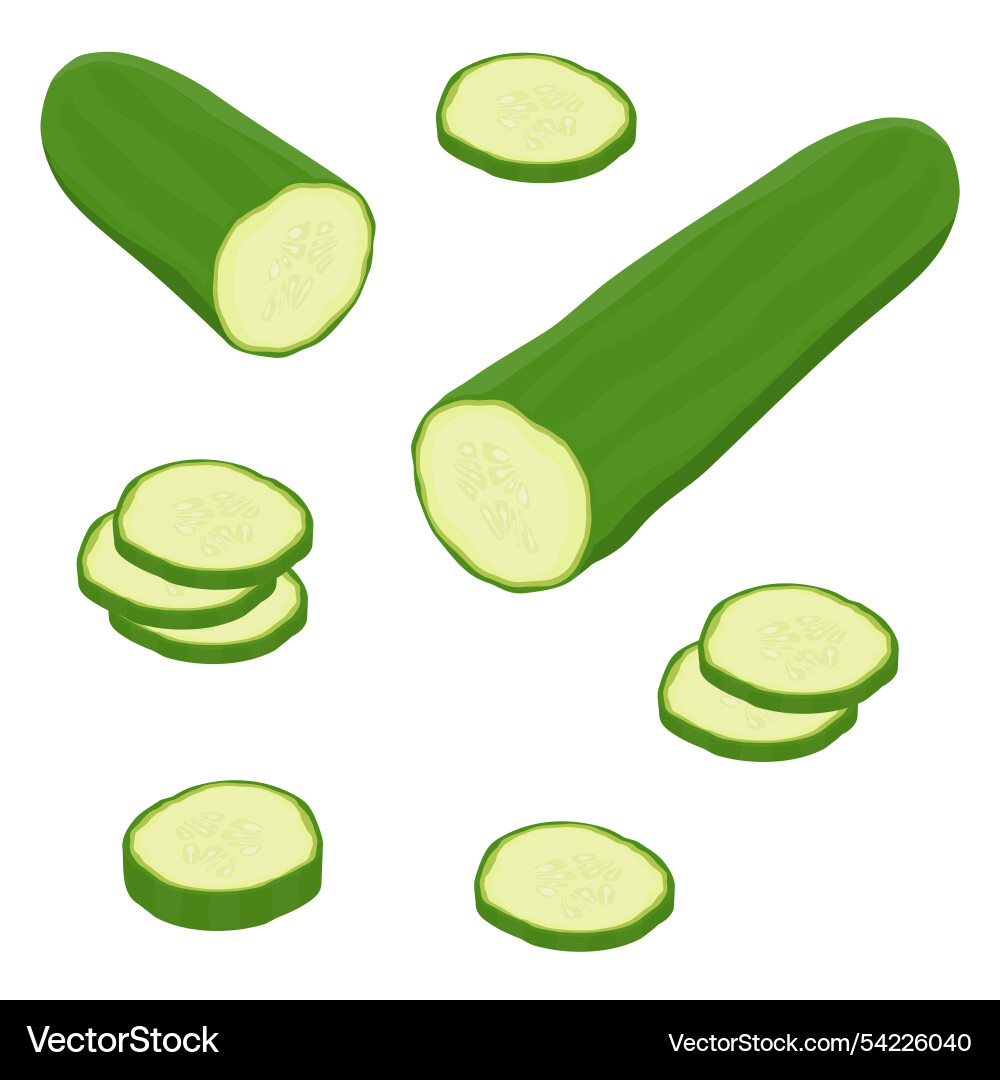 Whole cucumber and chopped slices set vector image