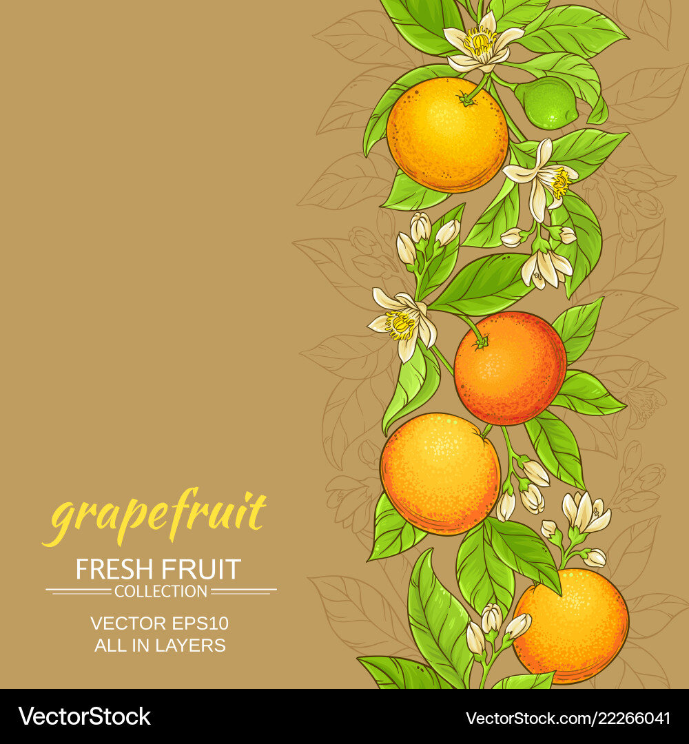 Grapefruit Branch Pattern vector image