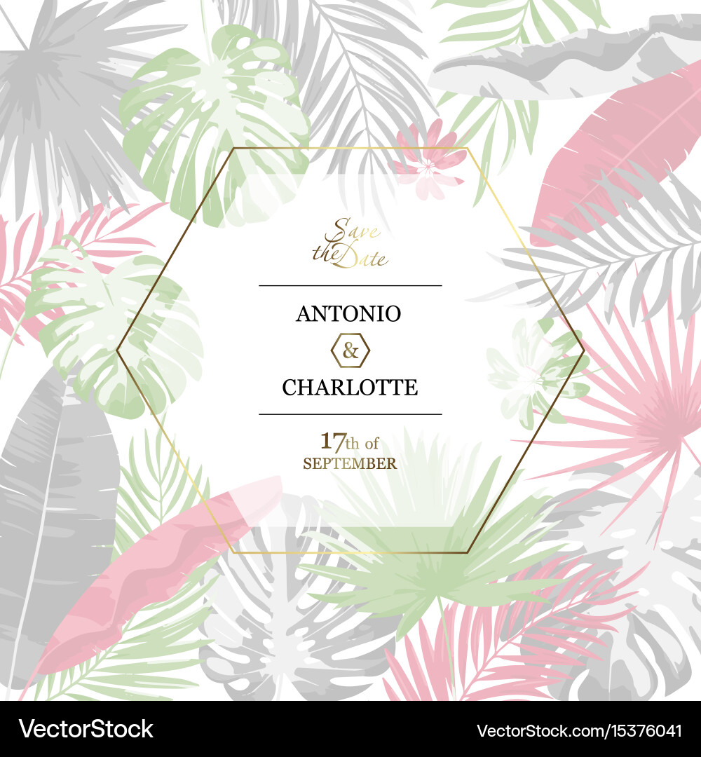 Trendy tropical leaves hexagon design vector image