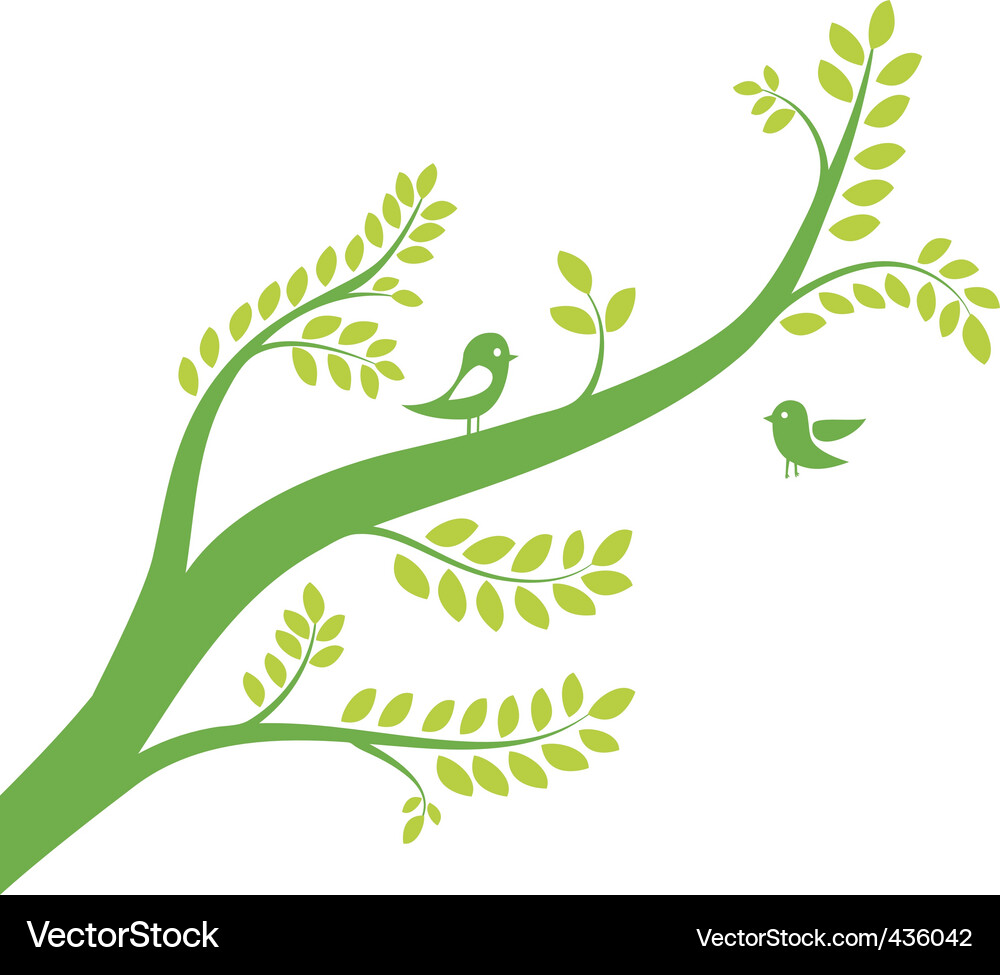 Spring Tree with Birds Vector Image