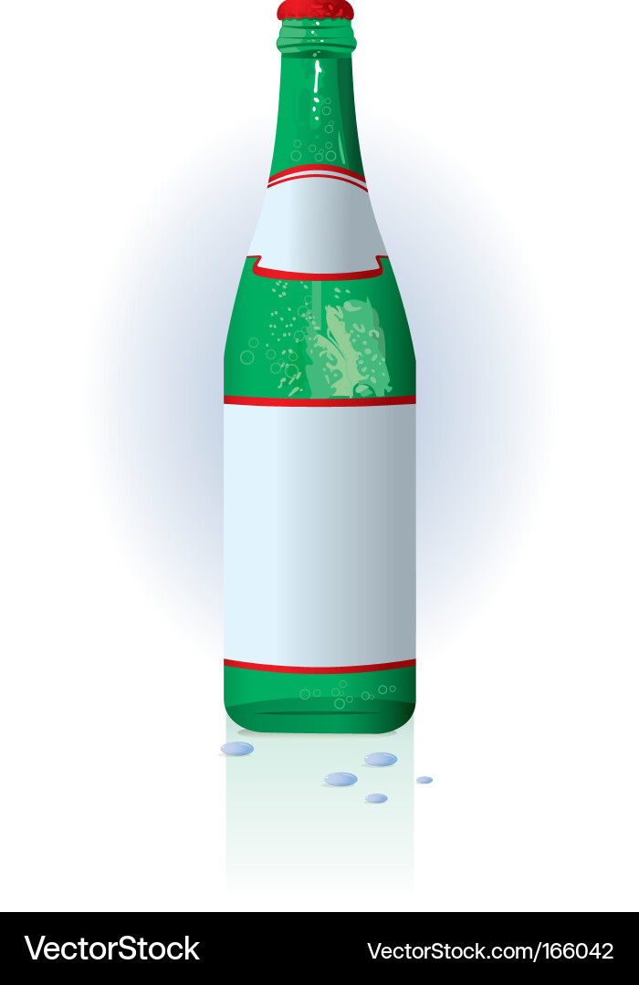 Water bottle vector image