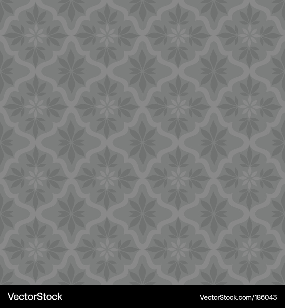 Border pattern vector image