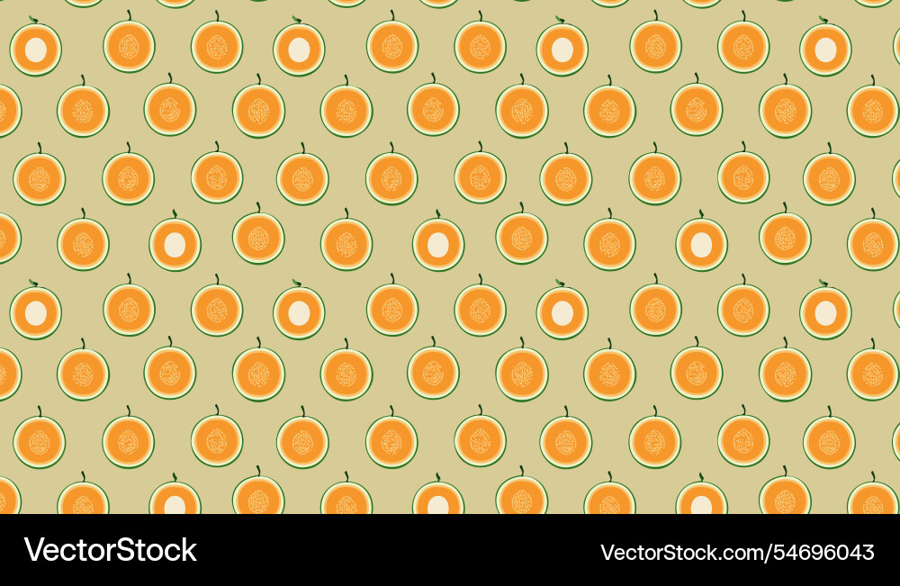 Cantaloupe seamless pattern Cantaloupe seamless pattern vector image