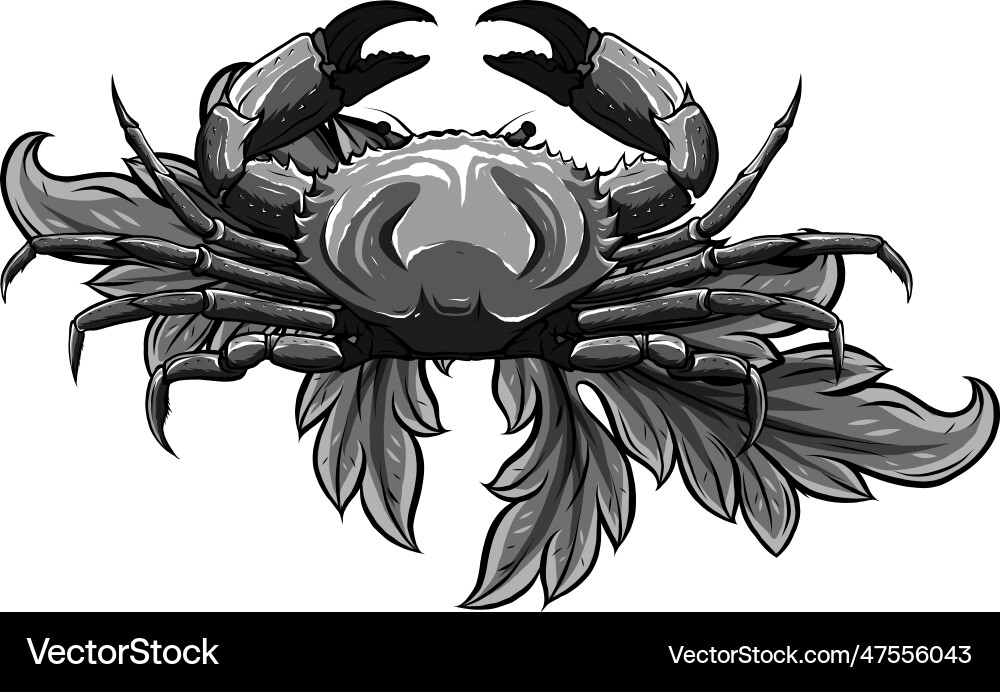 Monochrome crab with claws sketch in a linear vector image