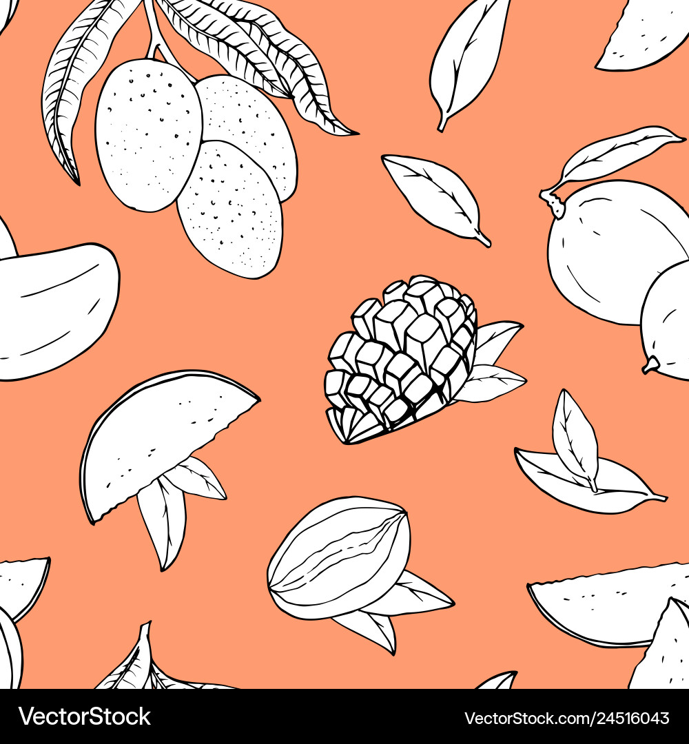 Seamless pattern with mango line drawing Vector Image