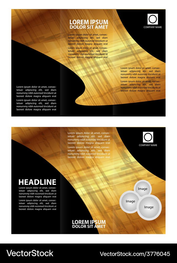 Brochure folder leaflet abstract element Vector Image