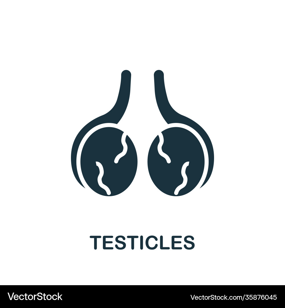 Simple Testicles Icon Vector Image