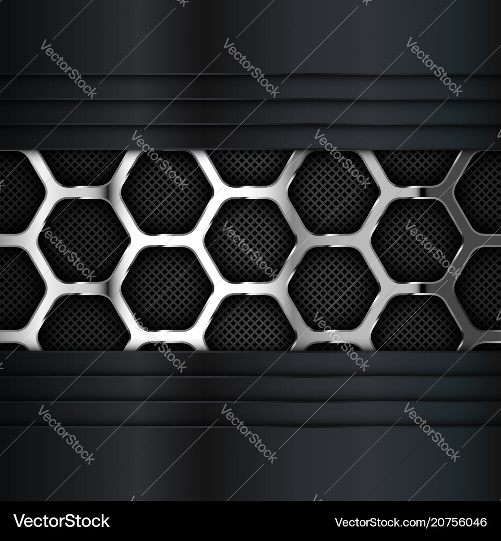 Hexagonal Metal Grid Pattern vector image