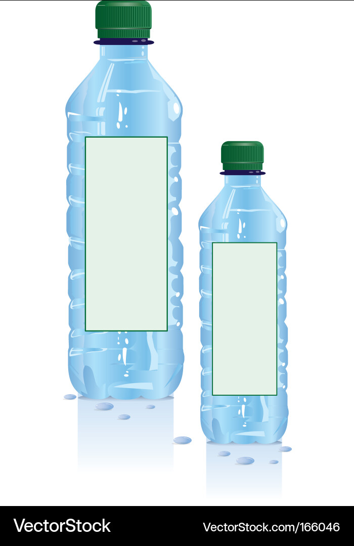 Plastic Water Bottles vector image