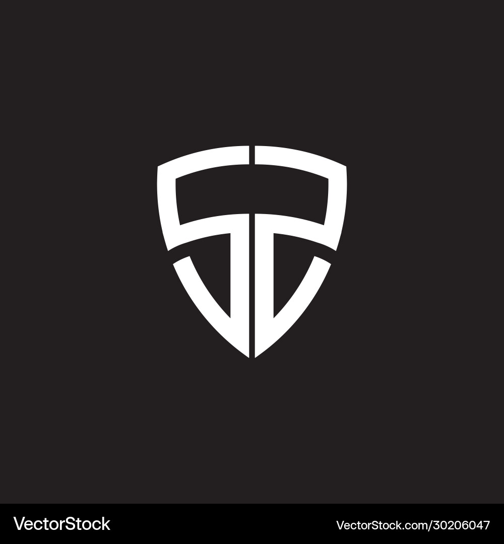Ss Buchstaben Initial Icon Logo Design Vorlage Ss Buchstaben Initial Icon Logo Design Vorlage vektorbild