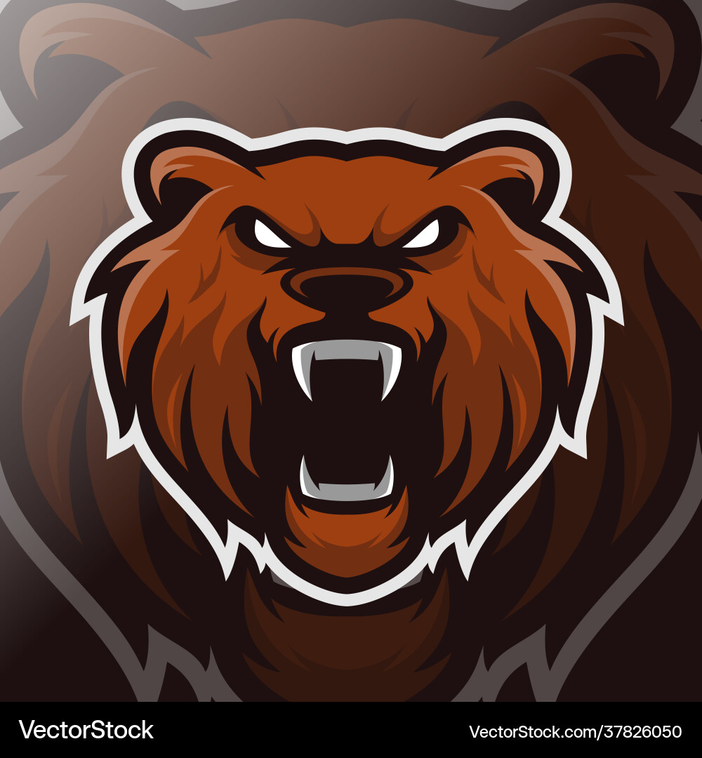 Bear head mascot logo esport vector image