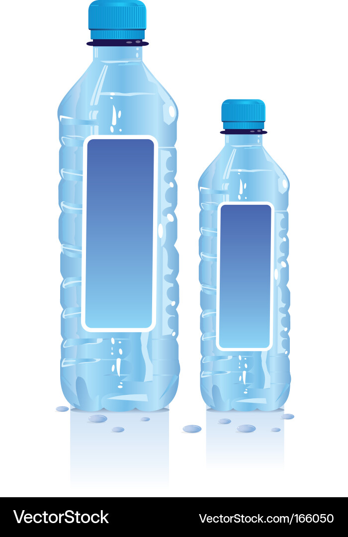 Plastic Water Bottles vector image