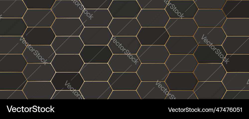 Dark Gray Hexagon Tile Pattern vector image