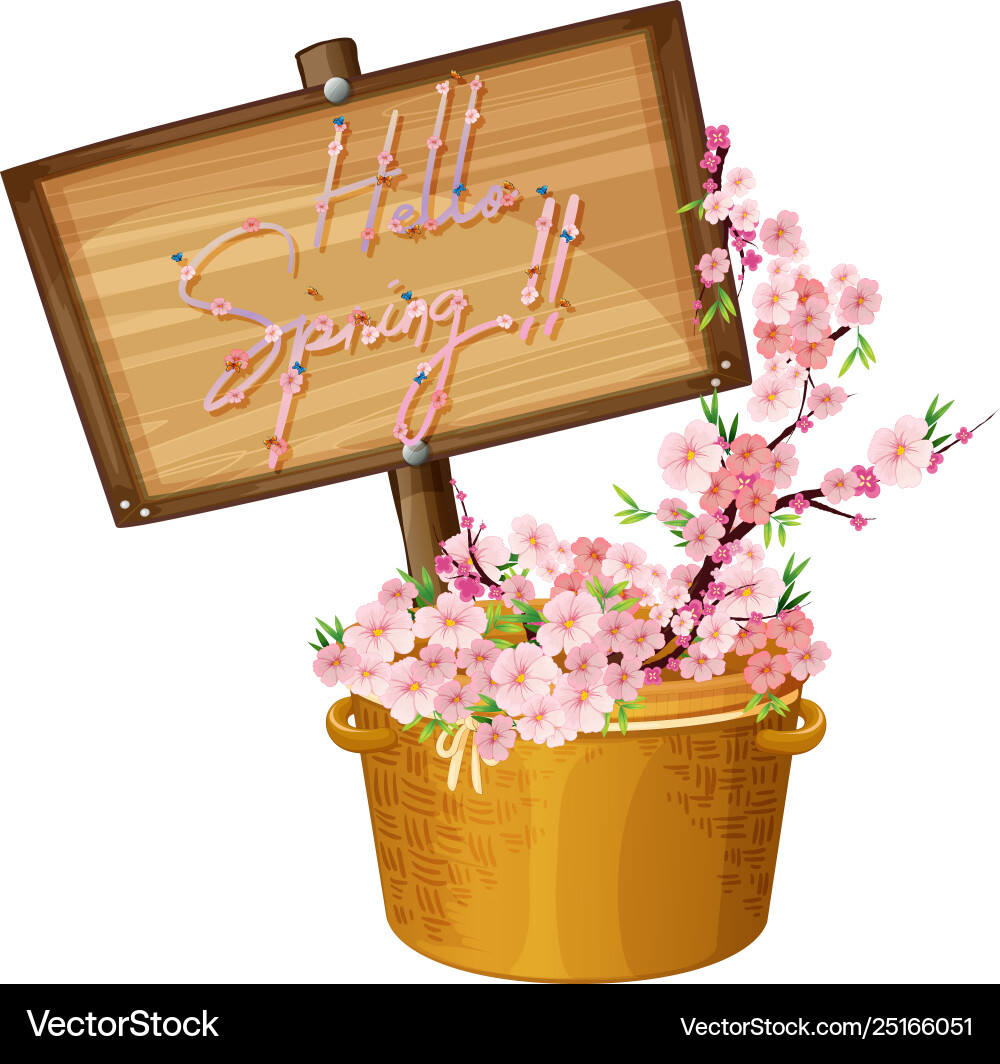 Hello spring text banner Vector Image