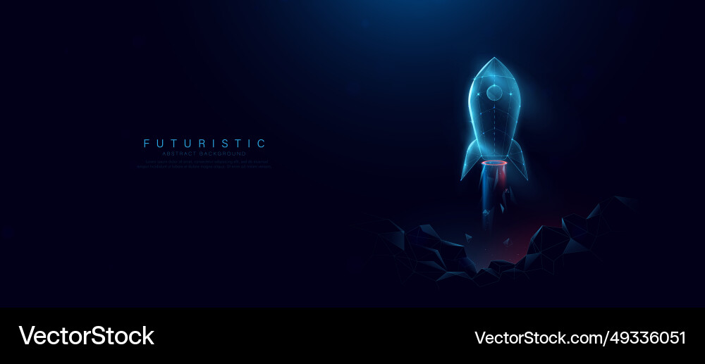Rocket launch business startup concepts form Rocket launch business startup concepts form vector image
