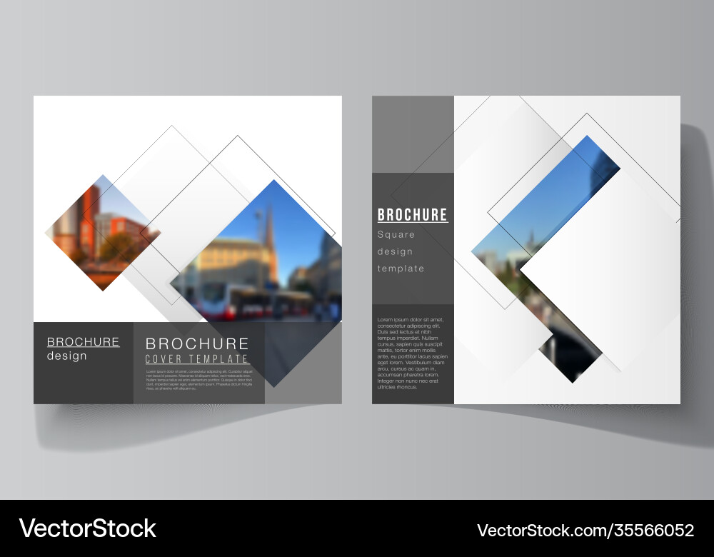 Layout two square format covers design Vector Image