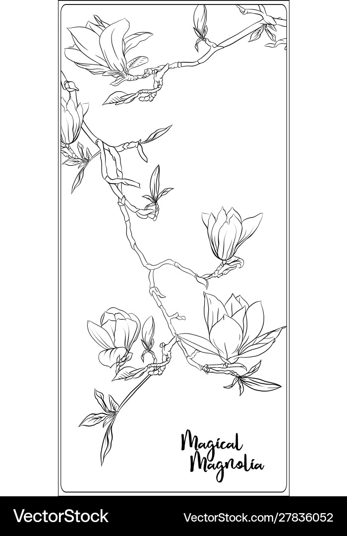 Magnolia tree branch vector image