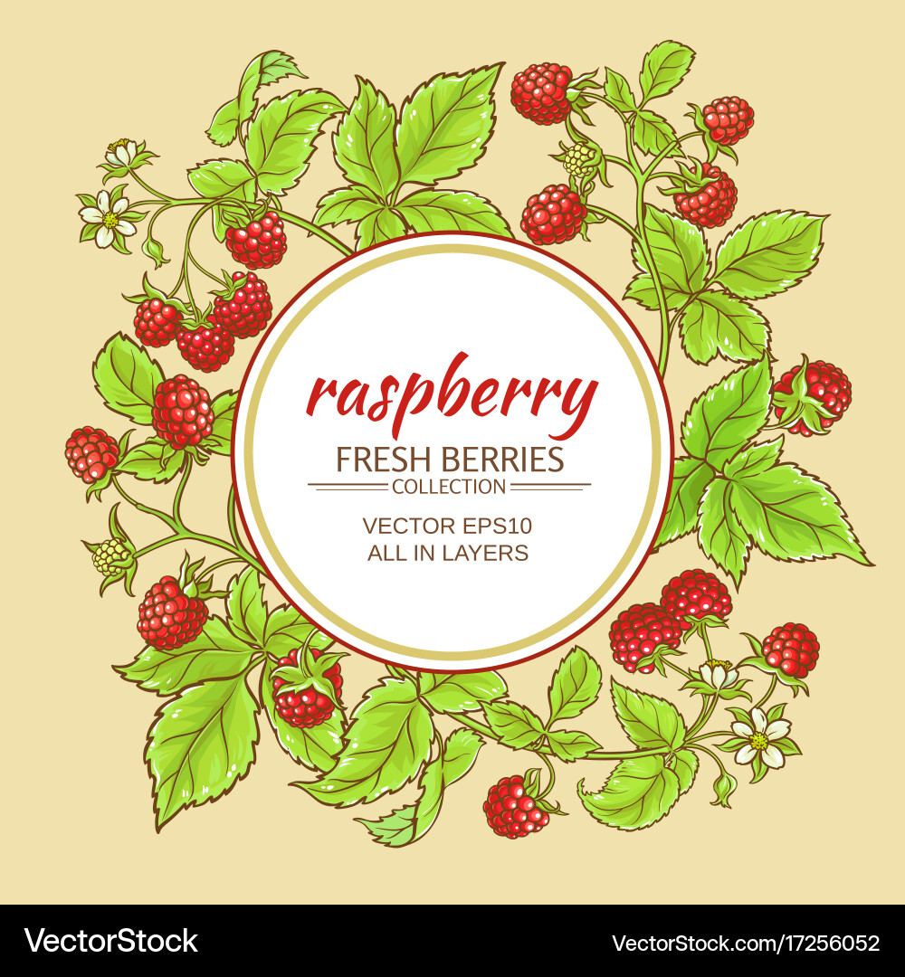 Raspberry Branch Frame vector image