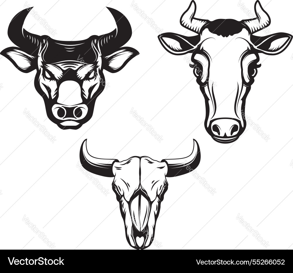 Set of hand drawn bull heads on white background Vector Image