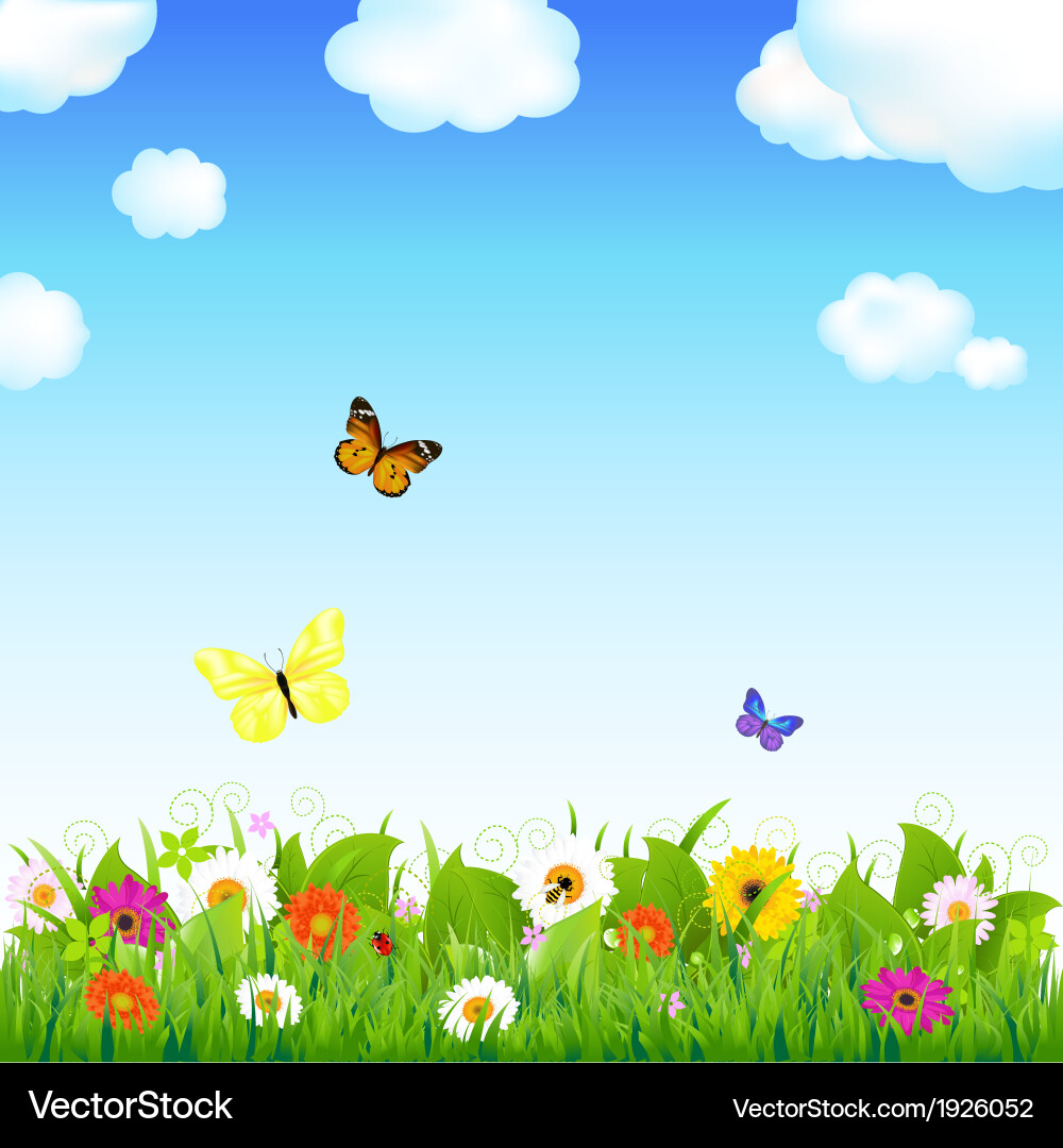 Vibrant Flower Meadow with Butterflies Vector Image