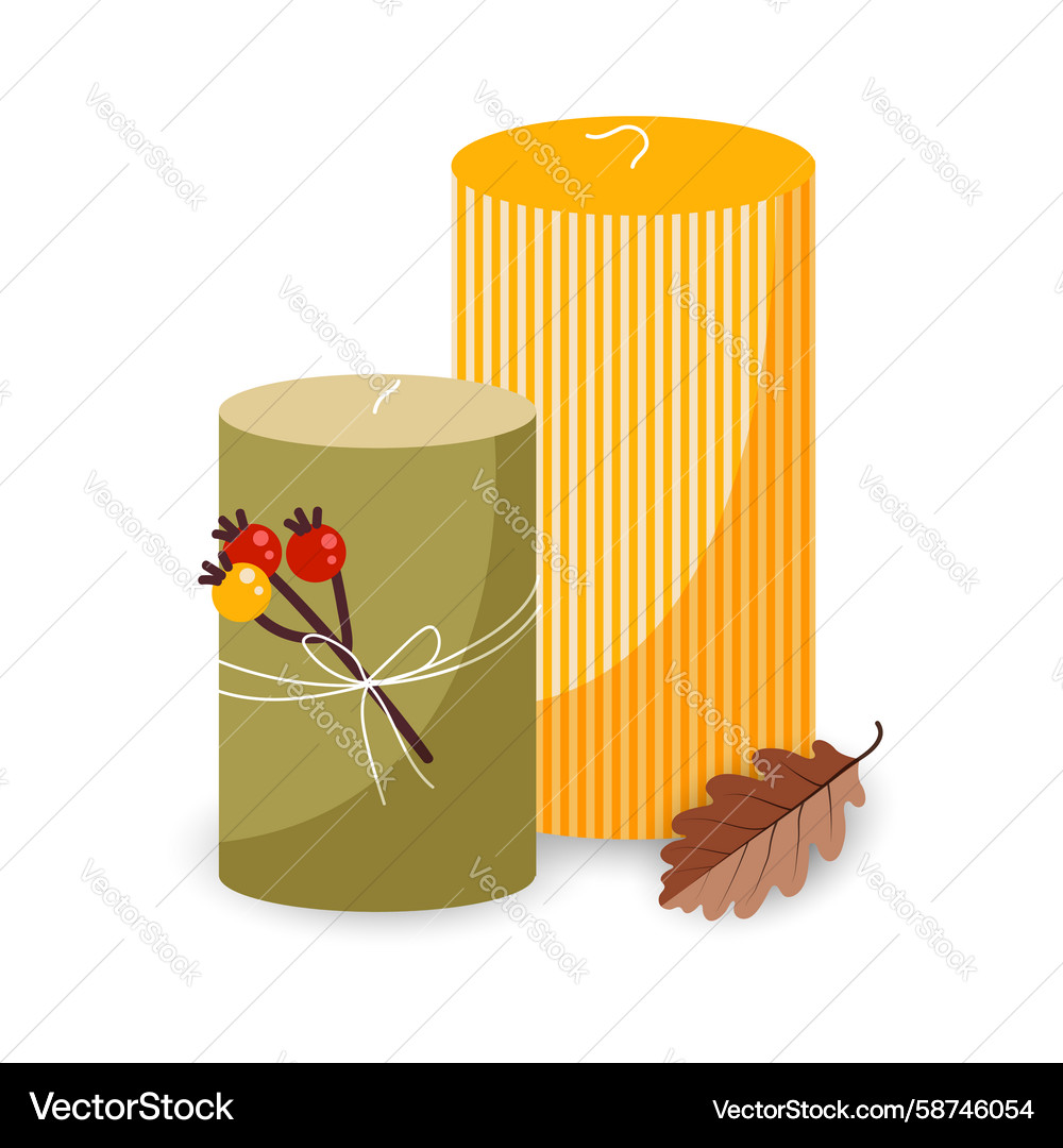 Autumn Candles with Rowan Berries Vector Image