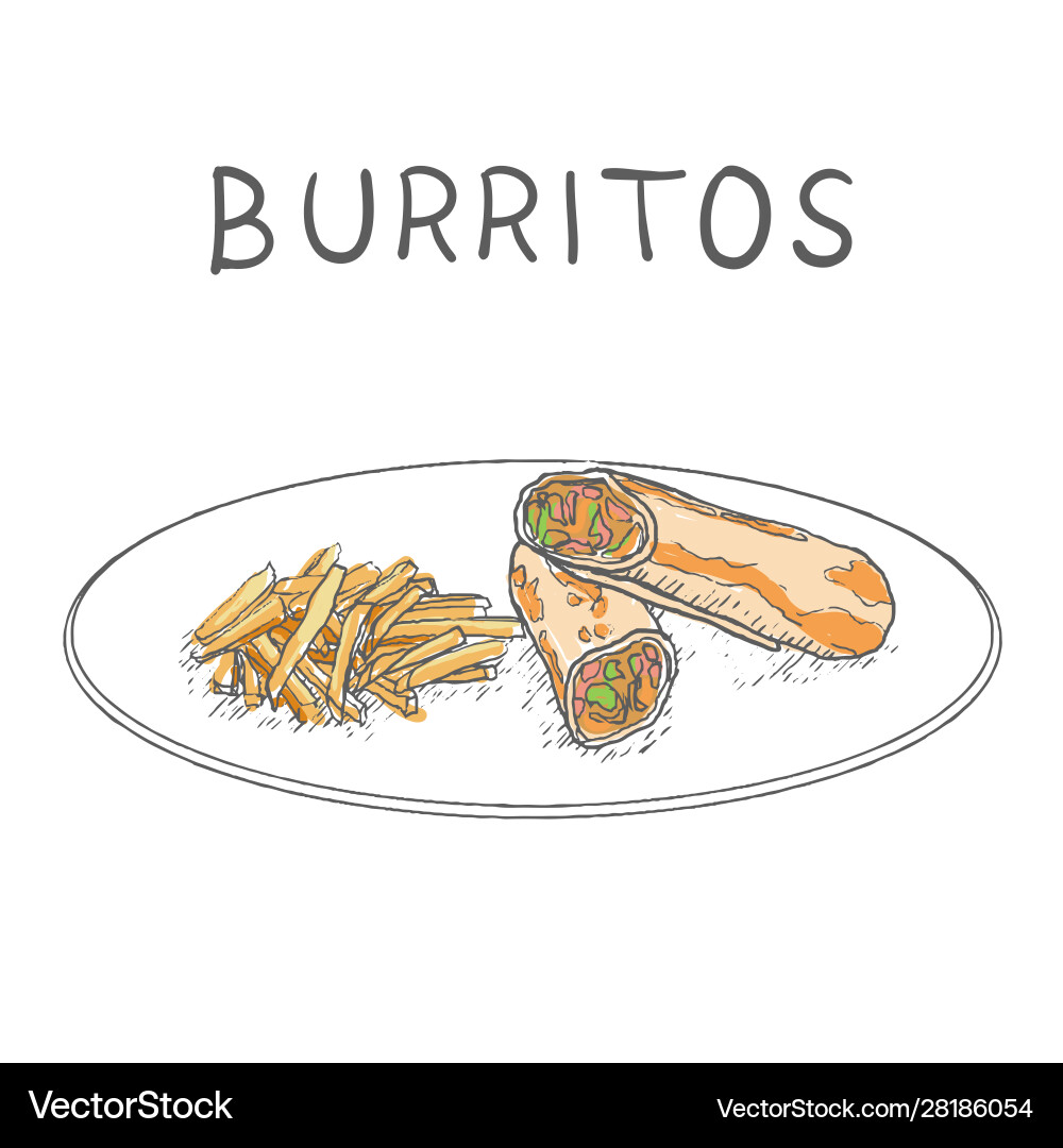 Burritos with fried potatoes hand drawn on white Burritos with fried potatoes hand drawn on white vector image