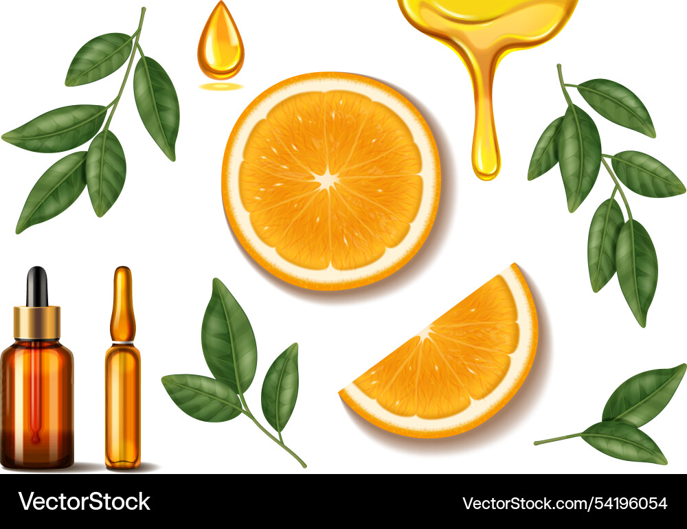 Realistic vitamic c serum pipette and ampoule Vector Image