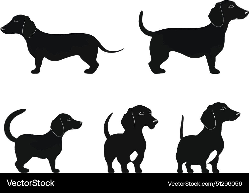 Black Dachshund Silhouettes Vector Image