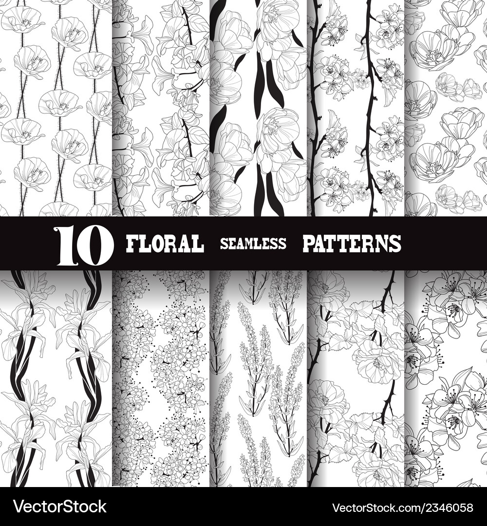 Seamless patterns set Vector Image