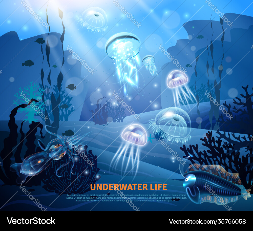 Underwater life background light poster Underwater life background light poster vector image