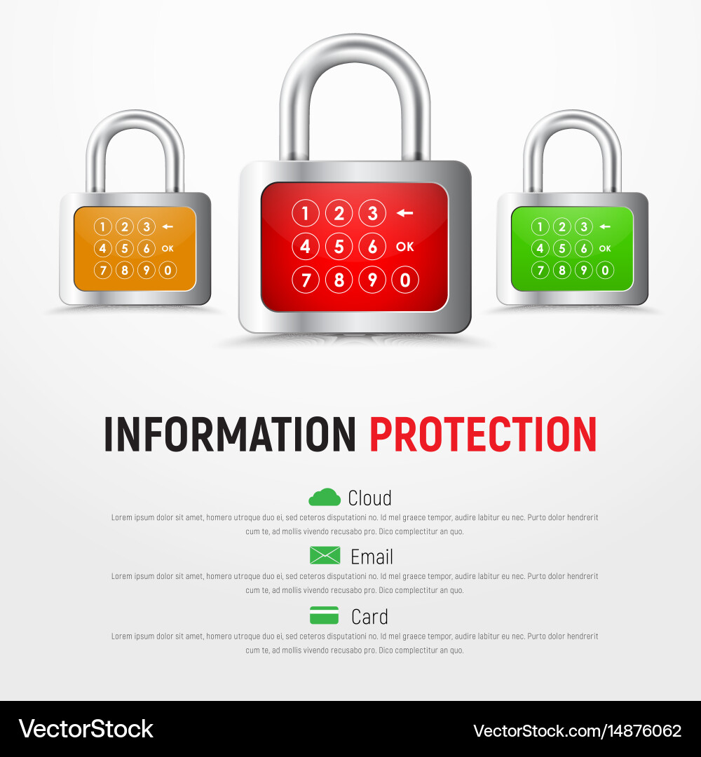 Secure Padlock Web Banner with PIN vector image
