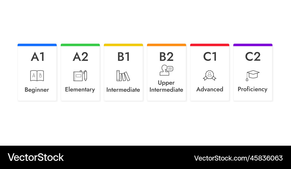 English levels infographics cards English levels infographics cards vector image