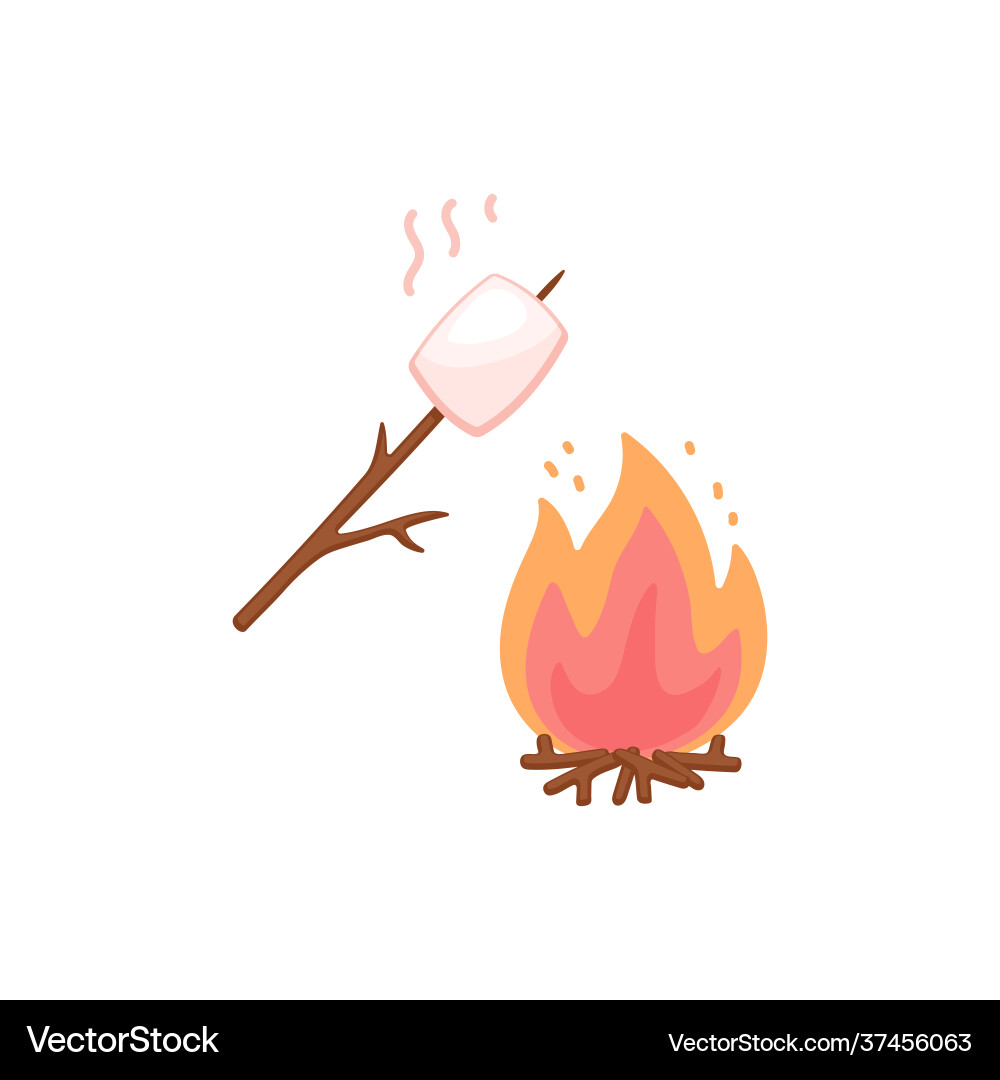 Marshmallow Roasting Bonfire Vector Image