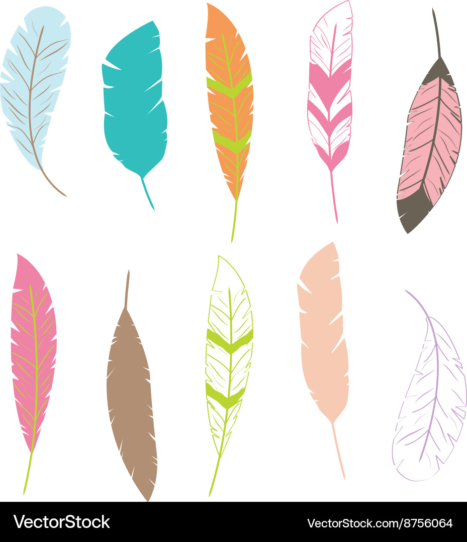 Feather Pattern Clip Art Vector Image