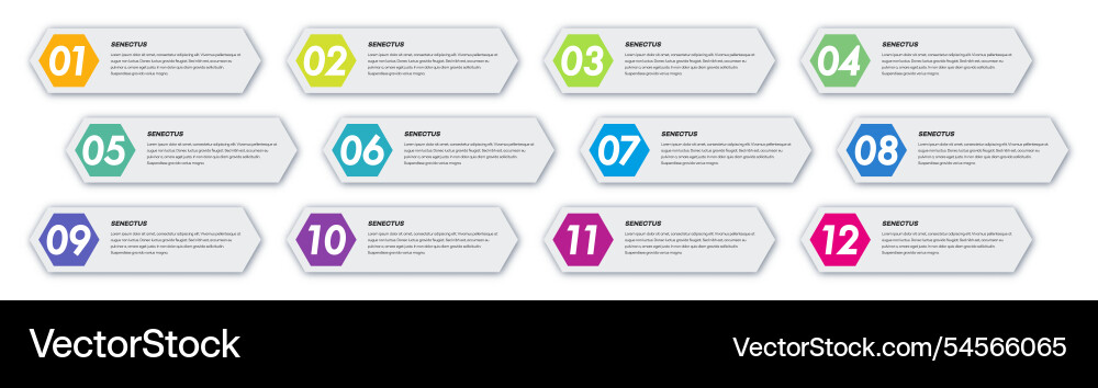 Bullet points numbers from 1 to 12 list markers Bullet points numbers from 1 to 12 list markers vector image