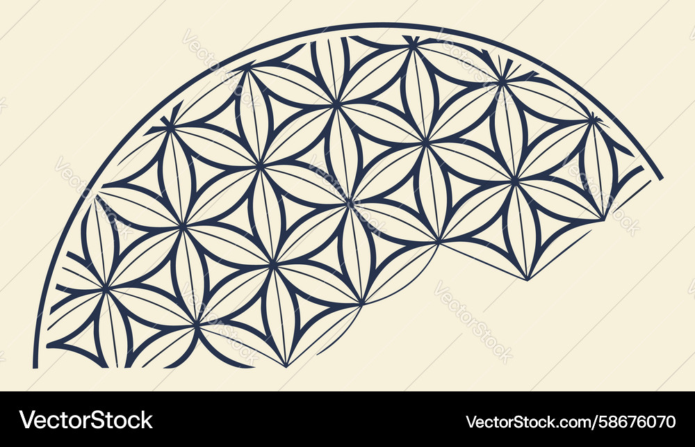 Geometric fan shell pattern design element Vector Image