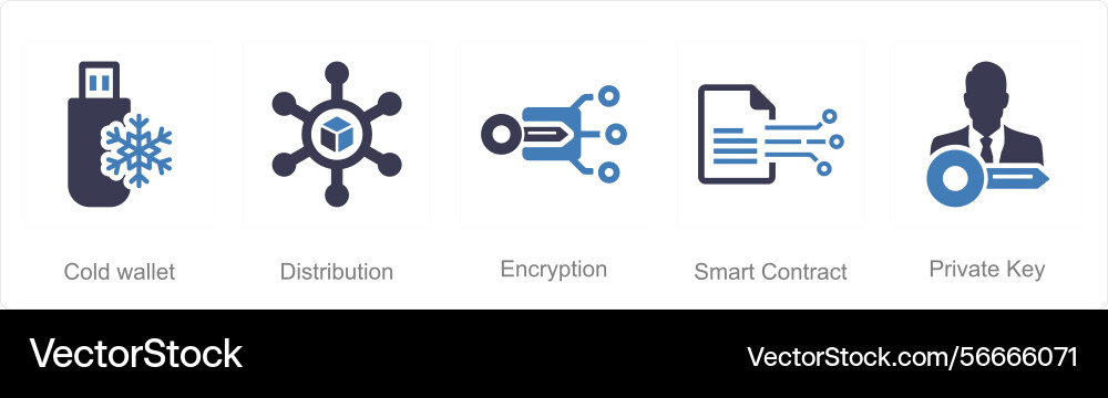 A set of 5 blockchain icons as cold wallet vector image