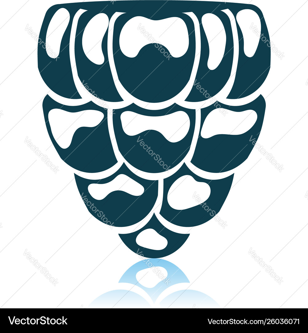 Icon of raspberry Icon of raspberry vector image