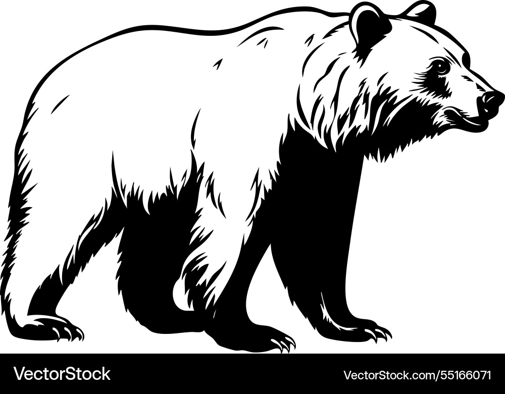Stehende Bär Silhouette Seitenansicht Tierwelt Stehende Bär Silhouette Seitenansicht Tierwelt vektorbild