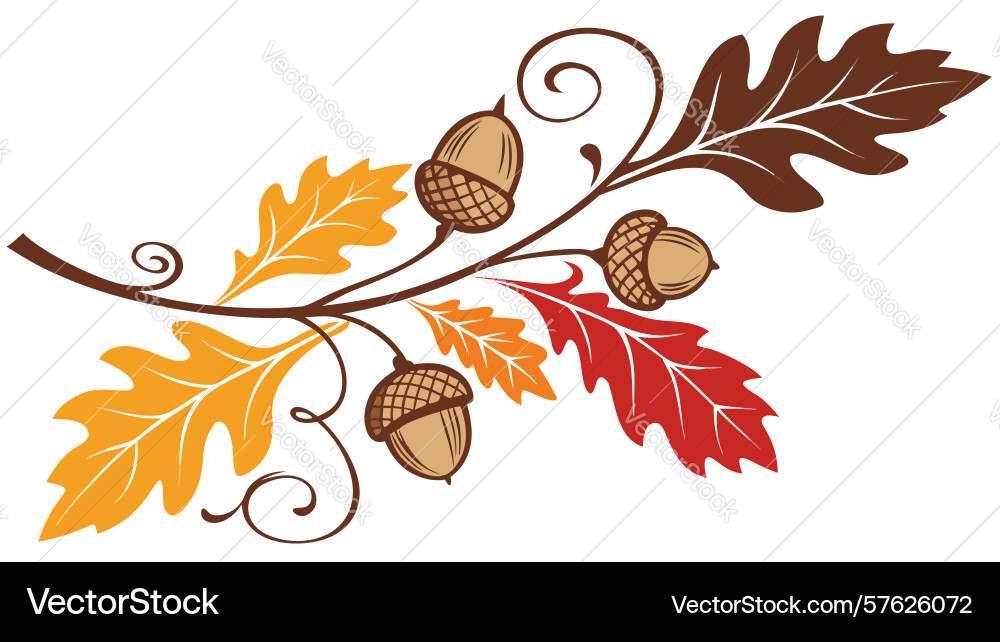 Autumn oak branch with acorns design generative Vector Image