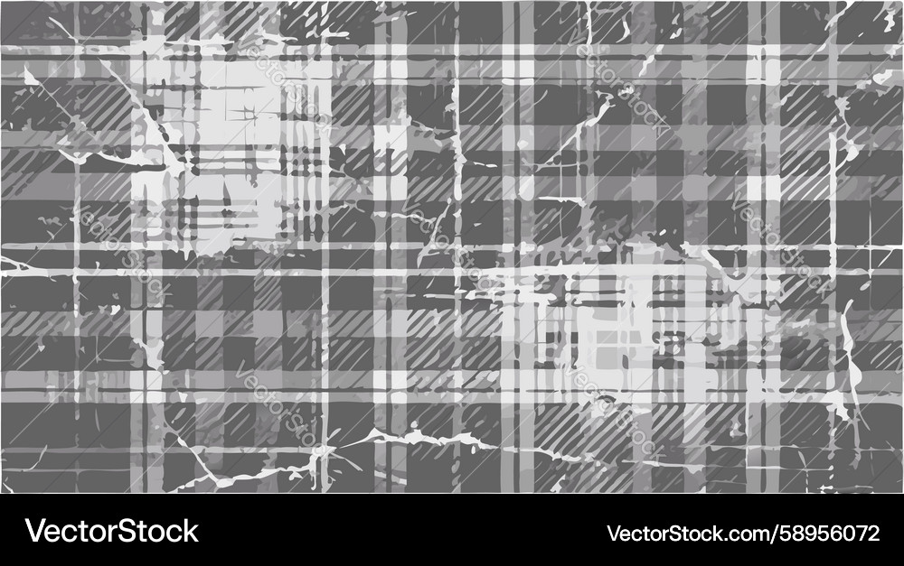 Distorted Plaid Grid Texture Vector Image