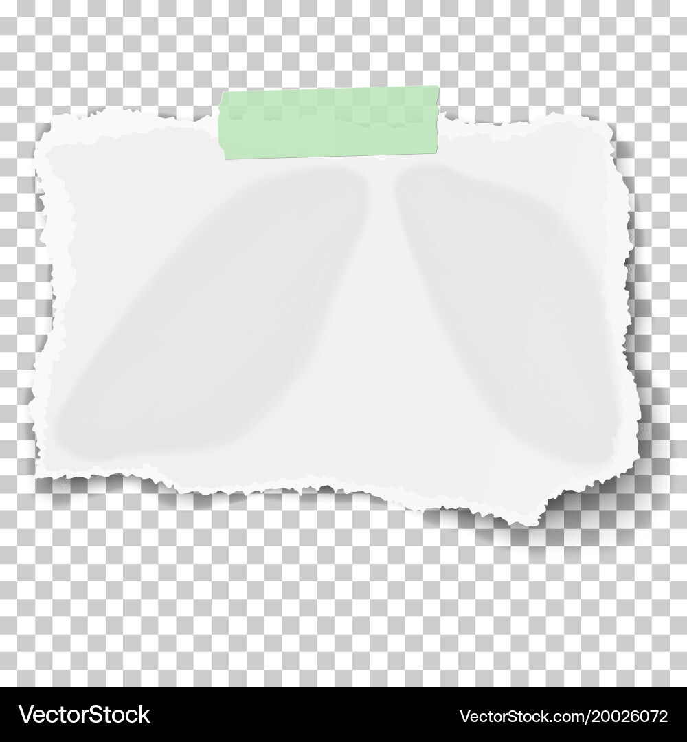 Ripped Paper Scrap with Tape Vector Image