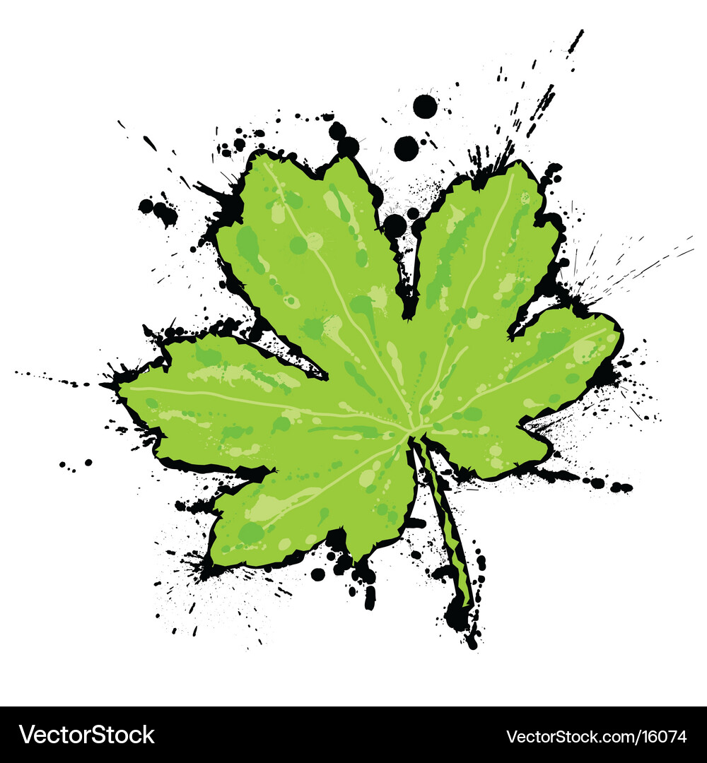 Ink Splattered Maple Leaf Vector Image